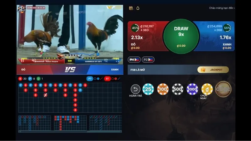 Trận đấu đá trực tiếp được phát sóng sống động, sắc nét