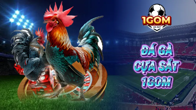 Đá gà cựa sắt