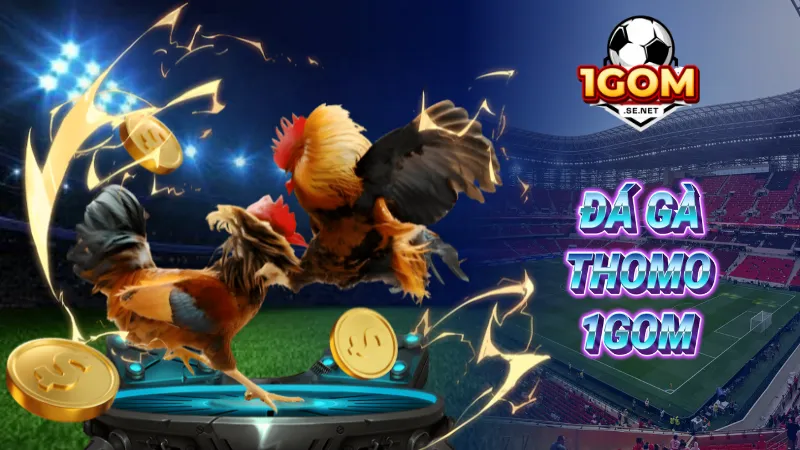 Đá gà Thomo